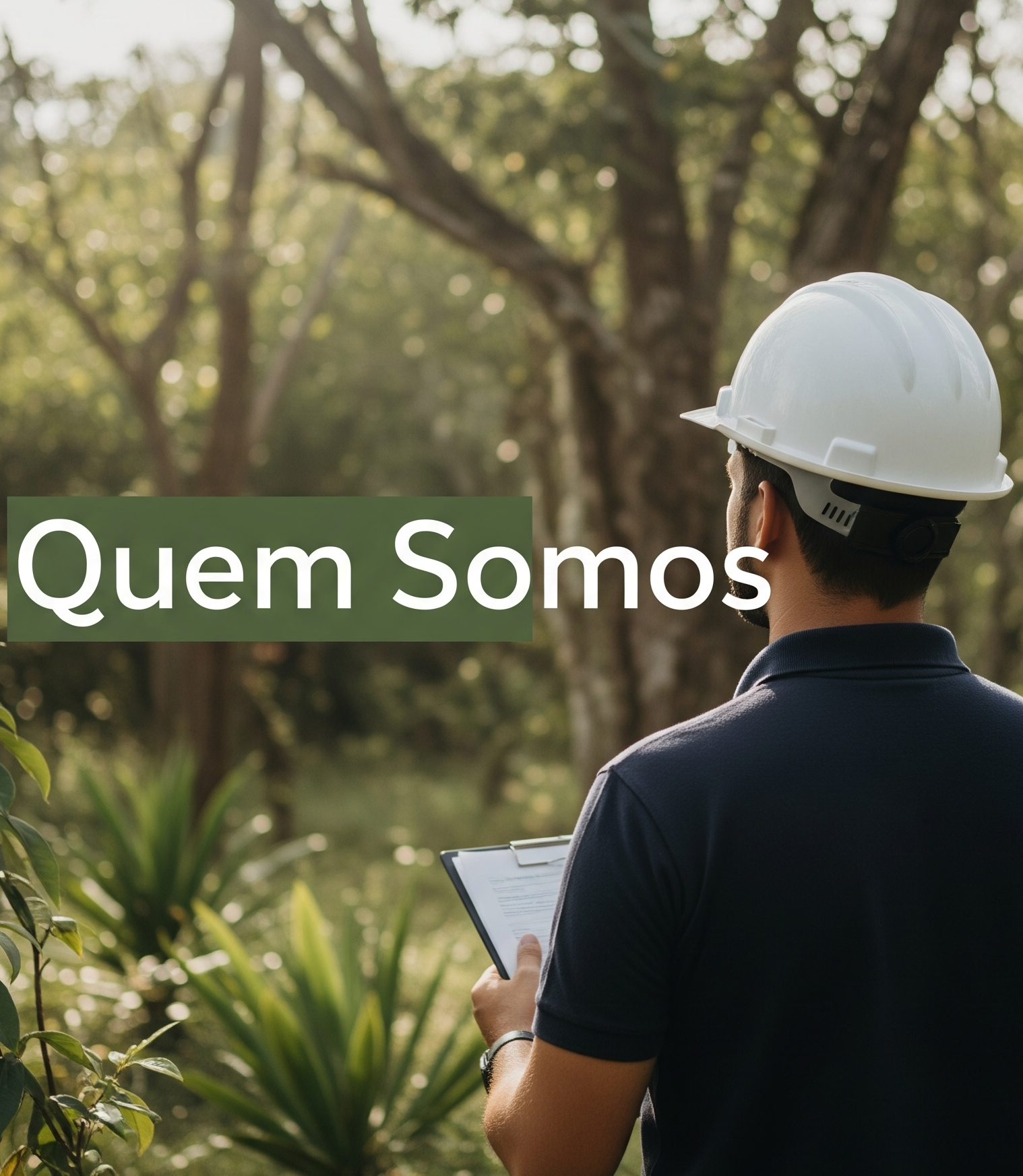 Imagem da Ambientale em ação